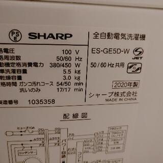 SHARP  シャープ　ES-GE5D-W　全自動洗濯機　(洗濯5.5kg)　ホワイト系

