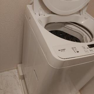 SHARP シャープ ES-GE5D-W 全自動洗濯機 (洗濯5.5kg) ホワイト系