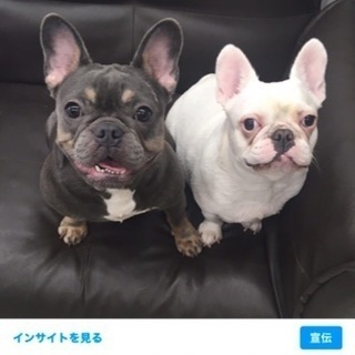 犬舎 アルバイト バイト パートの求人募集情報 ジモティー