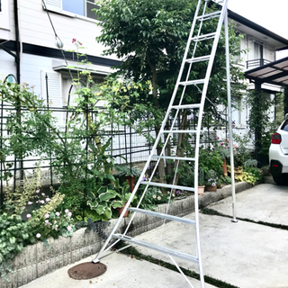 その他 植木剪定用ハシゴ 長谷川工業 GCS360a