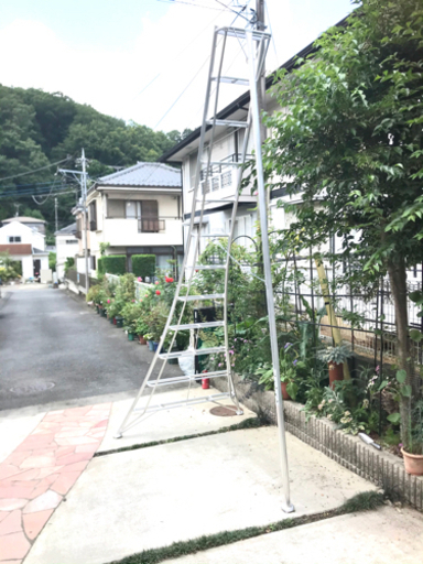 植木剪定用ハシゴ　長谷川工業　GCS360a