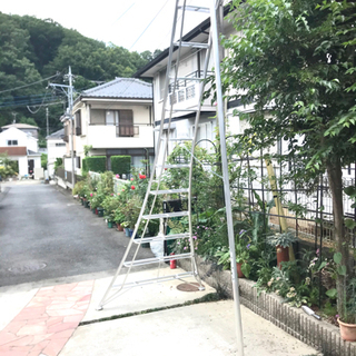 植木剪定用ハシゴ 長谷川工業 GCS360a