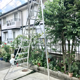 植木剪定用ハシゴ 長谷川工業 GCS360a