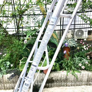植木剪定用ハシゴ 長谷川工業 GCS360a