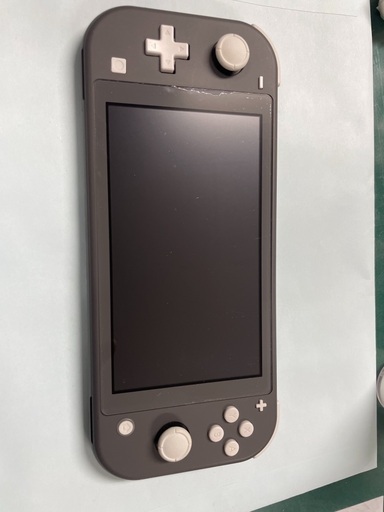 NINTENDO Switch Lite 注意事項必読
