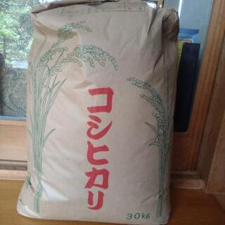 令和2年　香取市産コシヒカリ玄米　30kg