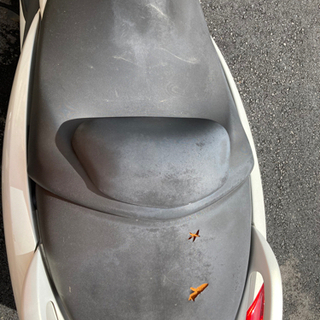 マジェスティ 250cc sg20j  