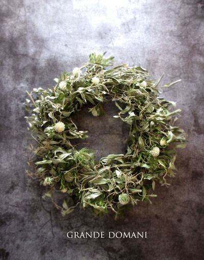 9月4日開催ロシアンオリーブのリースを作ってみませんか 春日部市 グランデドマーニ 春日部のワークショップのイベント参加者募集 無料掲載の掲示板 ジモティー