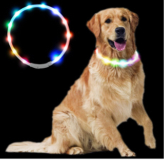 【ネット決済】犬用光る首輪