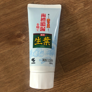 【ネット決済】生葉 歯磨き粉