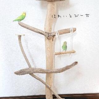 限定二枚目50％OFF 流木止まり木・バードタワーNo.212・高さ133㎝ 鳥用品