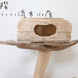 流木止まり木・バードタワーNo.51