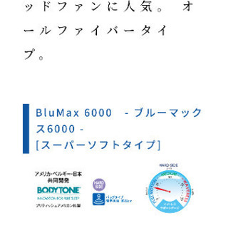 ウォーターベッド クイーンサイズ