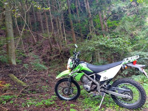 カワサキ　KLX125　極上