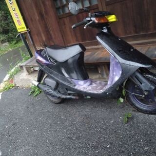 スズキセピア | tarabyavetlife.com