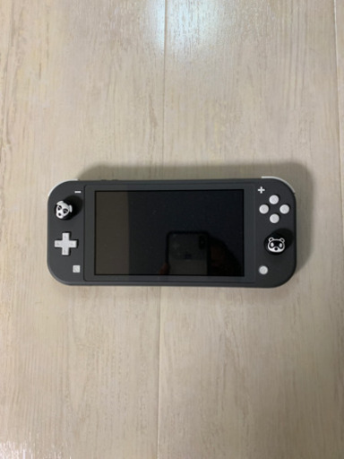 任天堂Switch lightgray