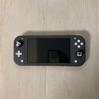 任天堂Switch lightgray