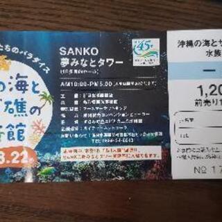 取引決定　沖縄の海とサンゴ礁の水族館　チケット