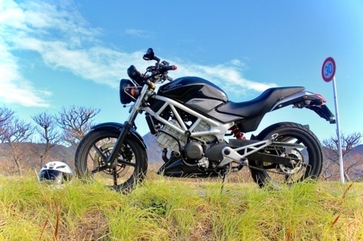 ホンダ HONDA VTR250