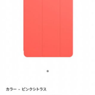 ① iPadPro11 Apple純正スマートフォリオ