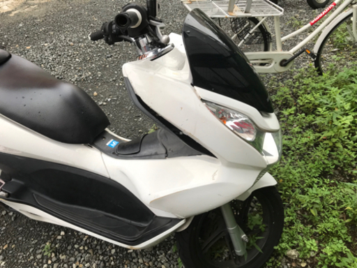 PCX 【公式通販】