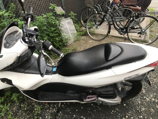 PCX 【公式通販】