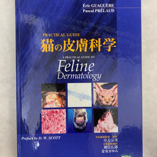 猫の皮膚科学