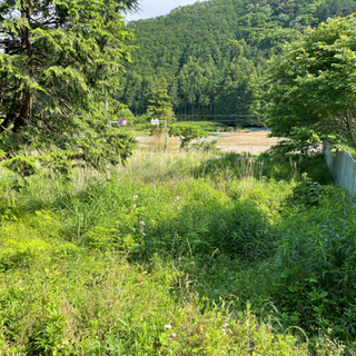 山林 − 大阪府