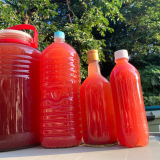 メダカ 針子 の餌 水質浄化 Psb 光合成細菌 ゆきゆきゆきち 筑紫野のその他の中古あげます 譲ります ジモティーで不用品の処分