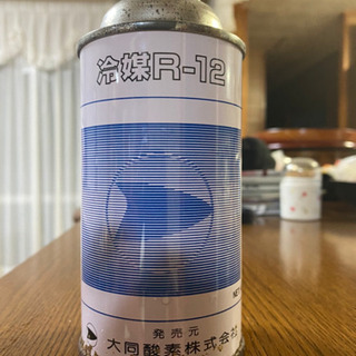 五島列島!特大! かたづける 貝殻 貝 標本 コレクション タカラガイ 