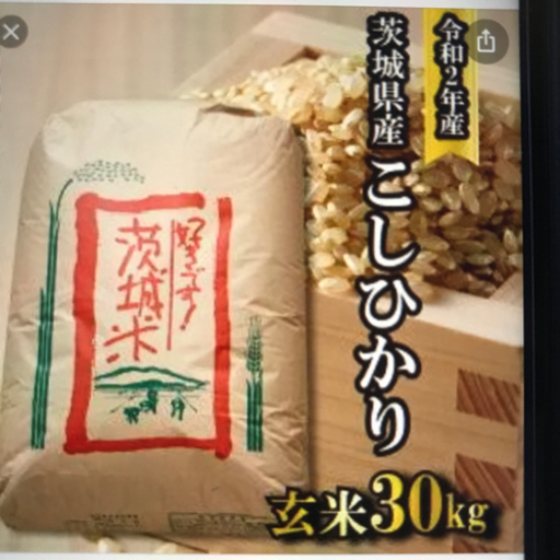 コシヒカリ 玄米30キロ 令和2年度 北広島町産
