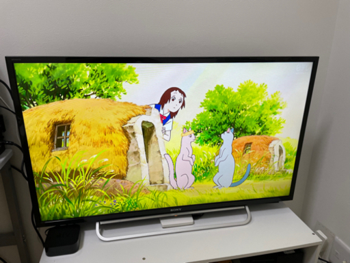 SONY BRAVIA KDL-40W600B 美品　2014年