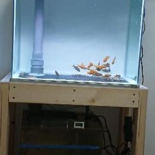 60ワイドオーバーフロー水槽セット