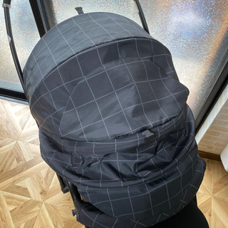 ランフィ　フレーム本体　2021年モデルに交換済み