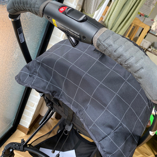 ランフィ　フレーム本体　2021年モデルに交換済み