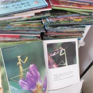 韓国語絵本(翻訳無し)、読み聞かせCD