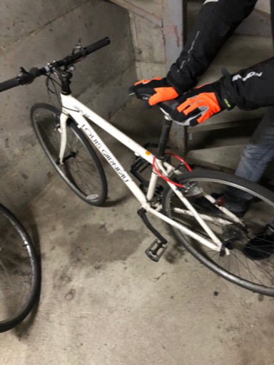 ルイガノ自転車(整備必要)