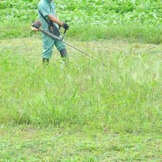 ¥9600～ 草刈り・草撤去【茨城県鹿嶋市旭ケ丘】単発！高収入！...