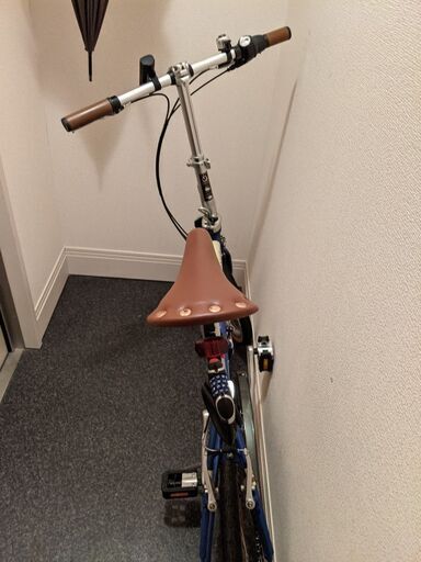 Dahon boardwalk i5 青 | diyfishblogs.com