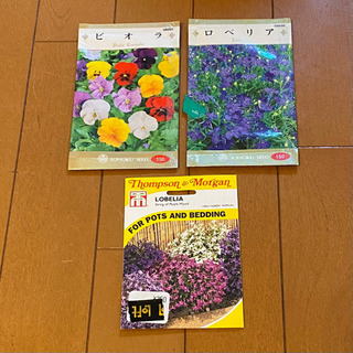 新品 未開封 お花の種 植物 花壇 ビオラ ロベリア 3袋セット