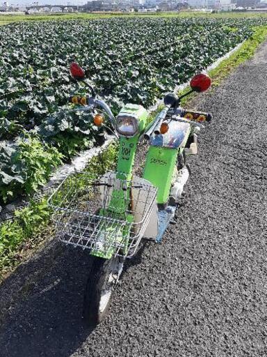 ヤマハパッソル　旧車　原チャリ　