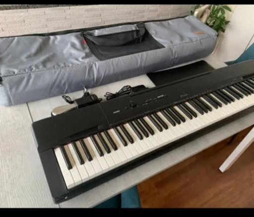 その他 Casio Privia PX-160