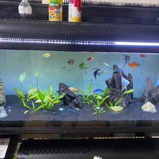 120水槽 90水槽 水槽台 セット