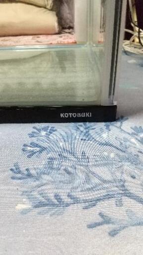 120センチ水槽 コトブキ あと数日で1度取り消します。