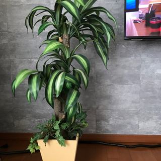 【受渡し決定】観葉植物　フェイク　高さ約100cm