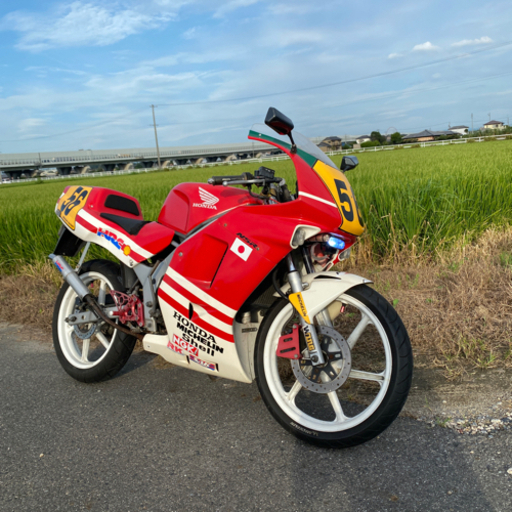 ホンダ　希少　NS-1カスタム　2本出しチャンバー　250タイプテールカウル