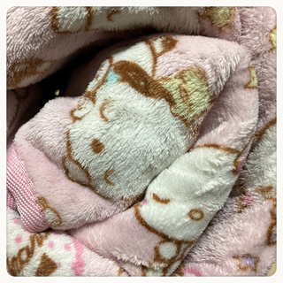 ご購入者様決定꒰sanrio꒱夢可愛い ラグ ピンク カーペット キティ