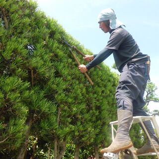 外構工事から植木の生産 - その他