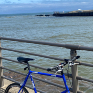 取引中】GIOS LAMPO ミニベロ(値段下げました)