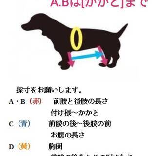 介護が必要な犬（シートタイプ）四輪歩行器 - 地元のお店